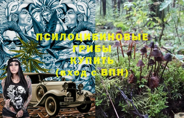 меф Заволжск