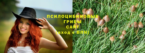 альфа пвп Заводоуковск