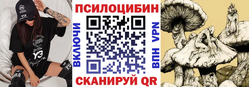 Галлюциногенные грибы GOLDEN TEACHER  Купить где  Прохладный 