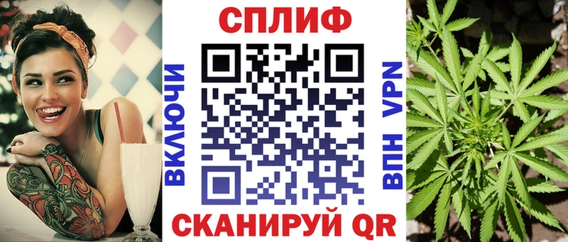Купить закладки  Прохладный  Каннабис планчик 